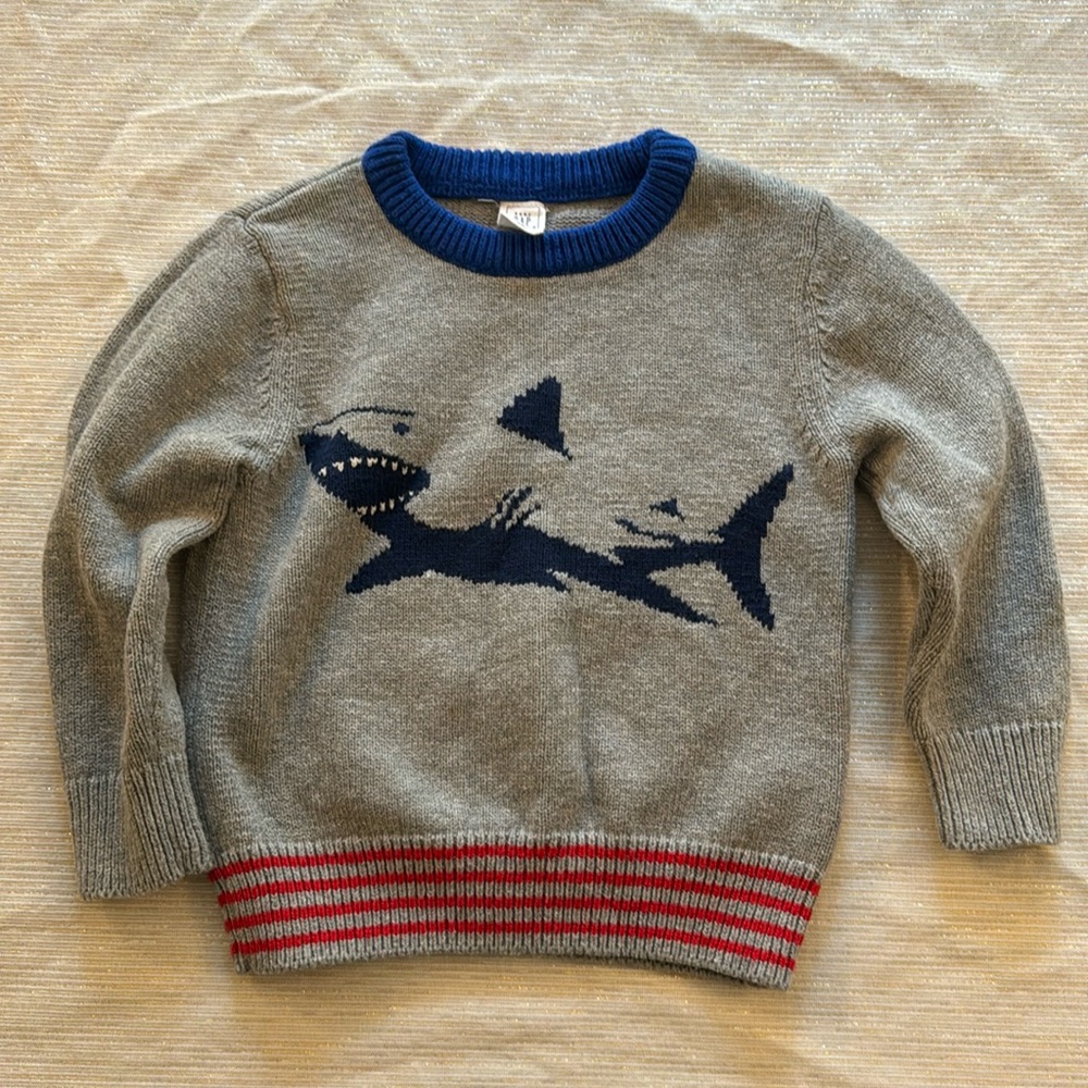 Baby Gap Sweater